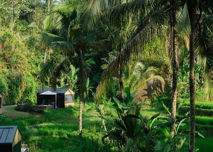 リゾート Bobocabin Ubud, Bali