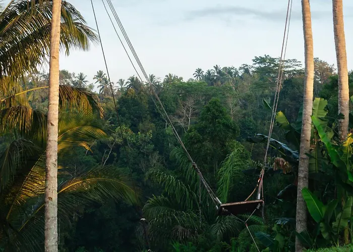 リゾート Bobocabin Ubud, Bali 4*