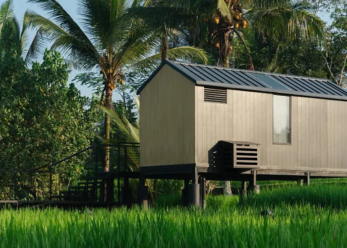 リゾート Bobocabin Ubud, Bali